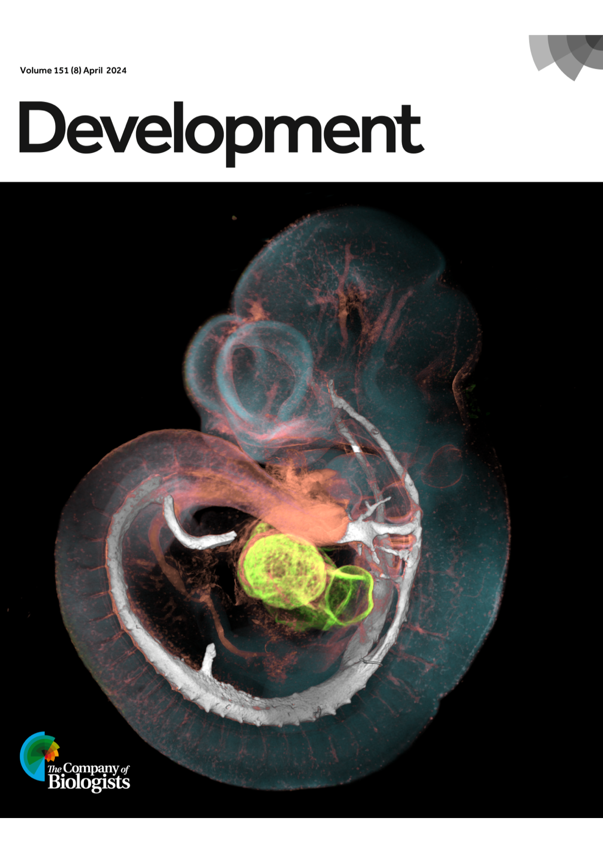 Development