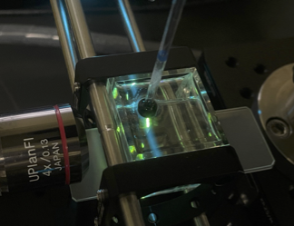Microscopy Image Acquisition