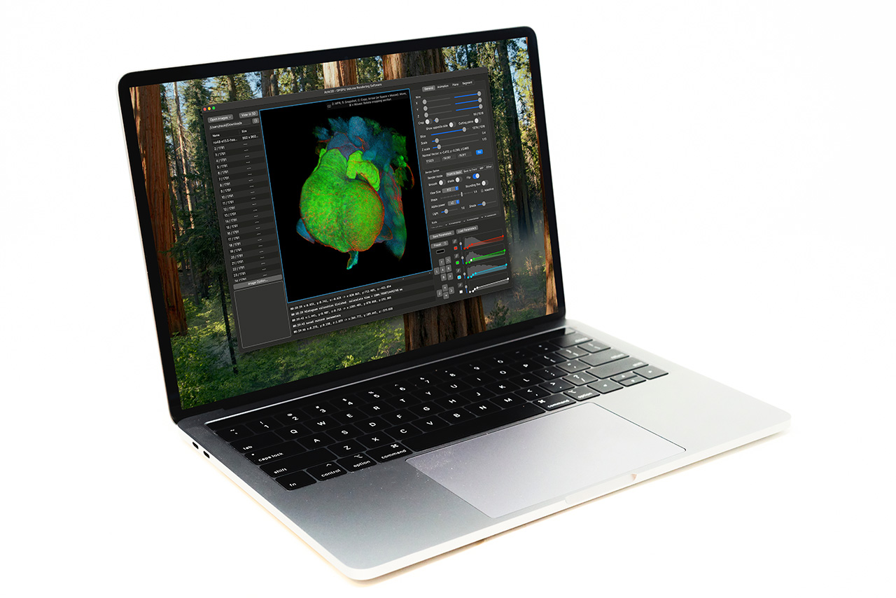 Microscopy Image Acquisition